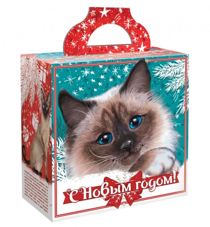 Домашние кошки «Премиум»