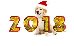 Символ 2018 года - Собака!