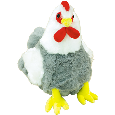 Курочка несушка "Эконом"